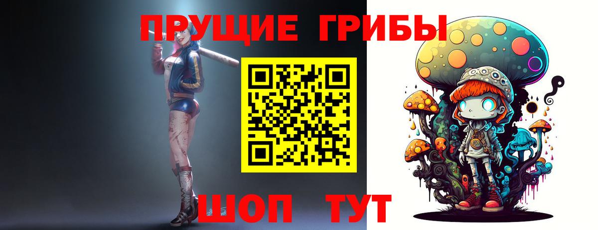 Псилоцибиновые грибы GOLDEN TEACHER Железноводск